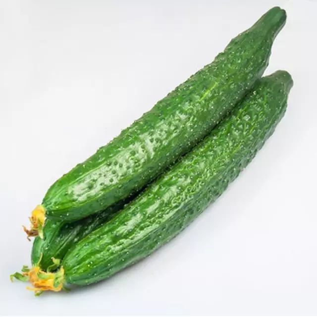 黄瓜cucumber