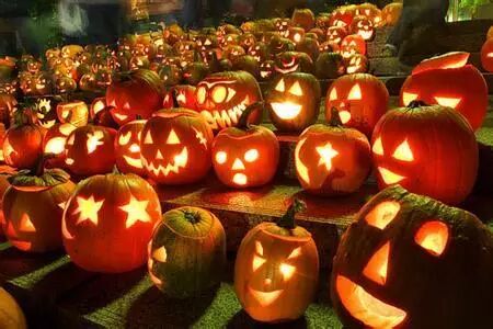 前方高能，万圣节不止有糖果