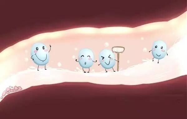 常听说的益生菌，到底是什么？