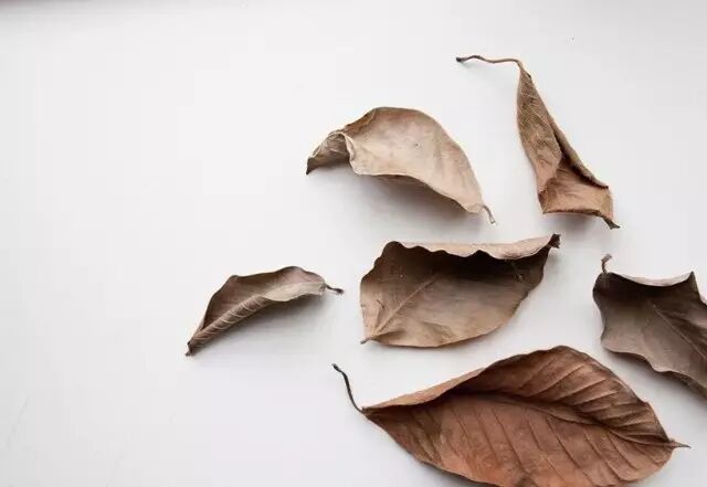 韩国草莓季风暴来袭，你做好准备没？