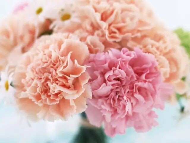 让妈妈再一次迷倒你爸爸