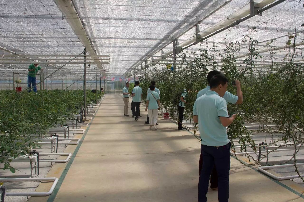 站在巨人的肩膀上思考前进，NVR与隆力奇达成战略合作