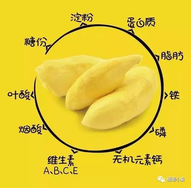 你爱榴莲仅仅是因为好吃?别忘了它可是【营养大咖】