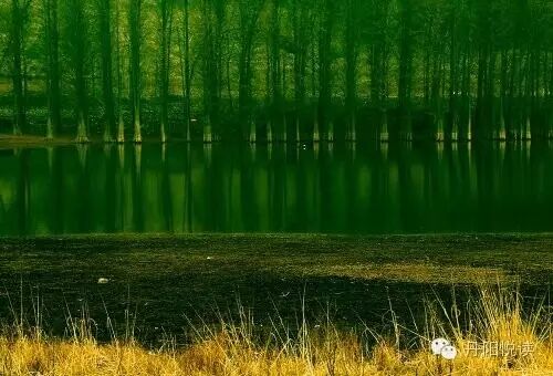 上湾水库，我与你有个约会