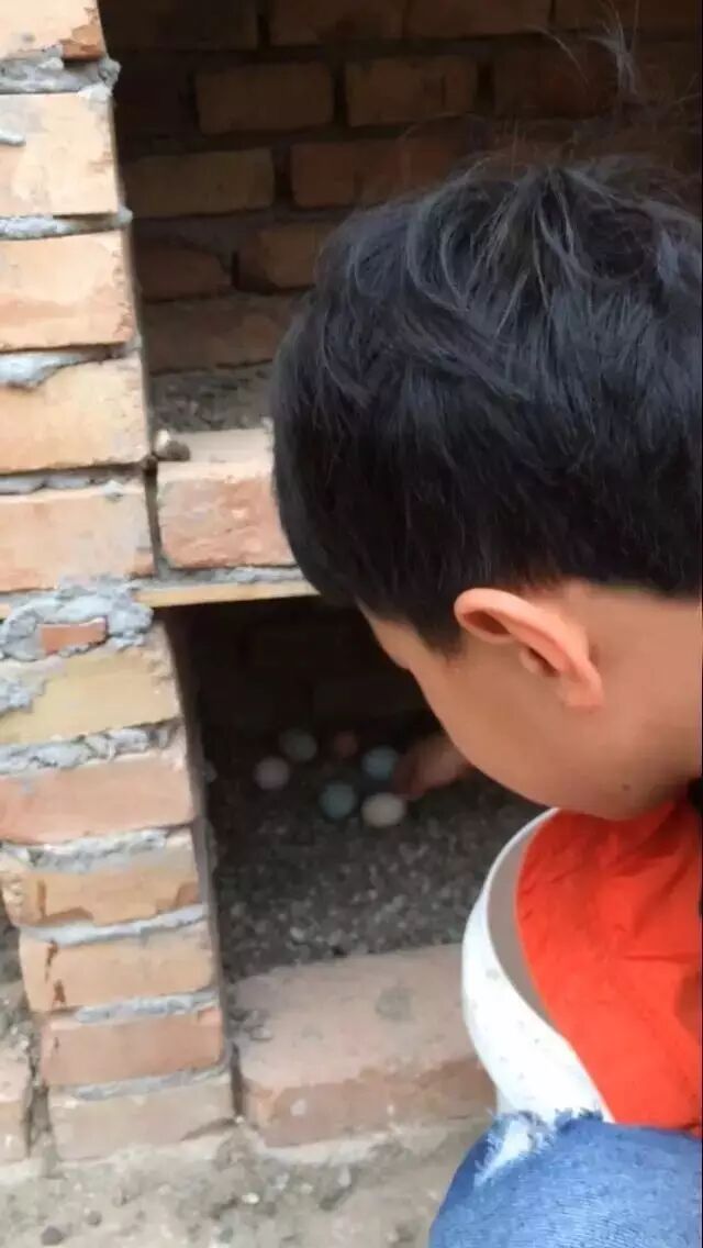 梦境交织，捡拾鸡蛋与已故堂弟的奇妙重逢