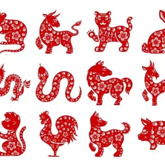 Mandarin Monday: The Wild World of Chinese Zodiac Signs