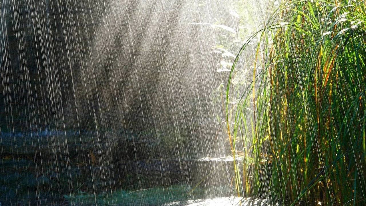 海贼电台歌单:被雨困住第二辑