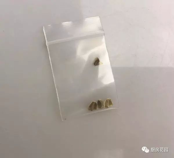 淘宝开店经验心得分享_开淘宝的经验分享_淘宝开店干货分享