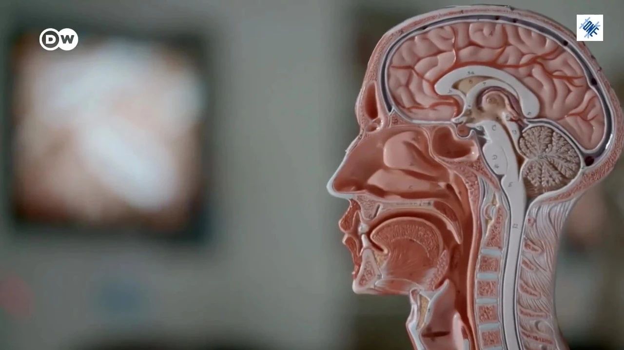 纪录片：如何改善大脑健康？