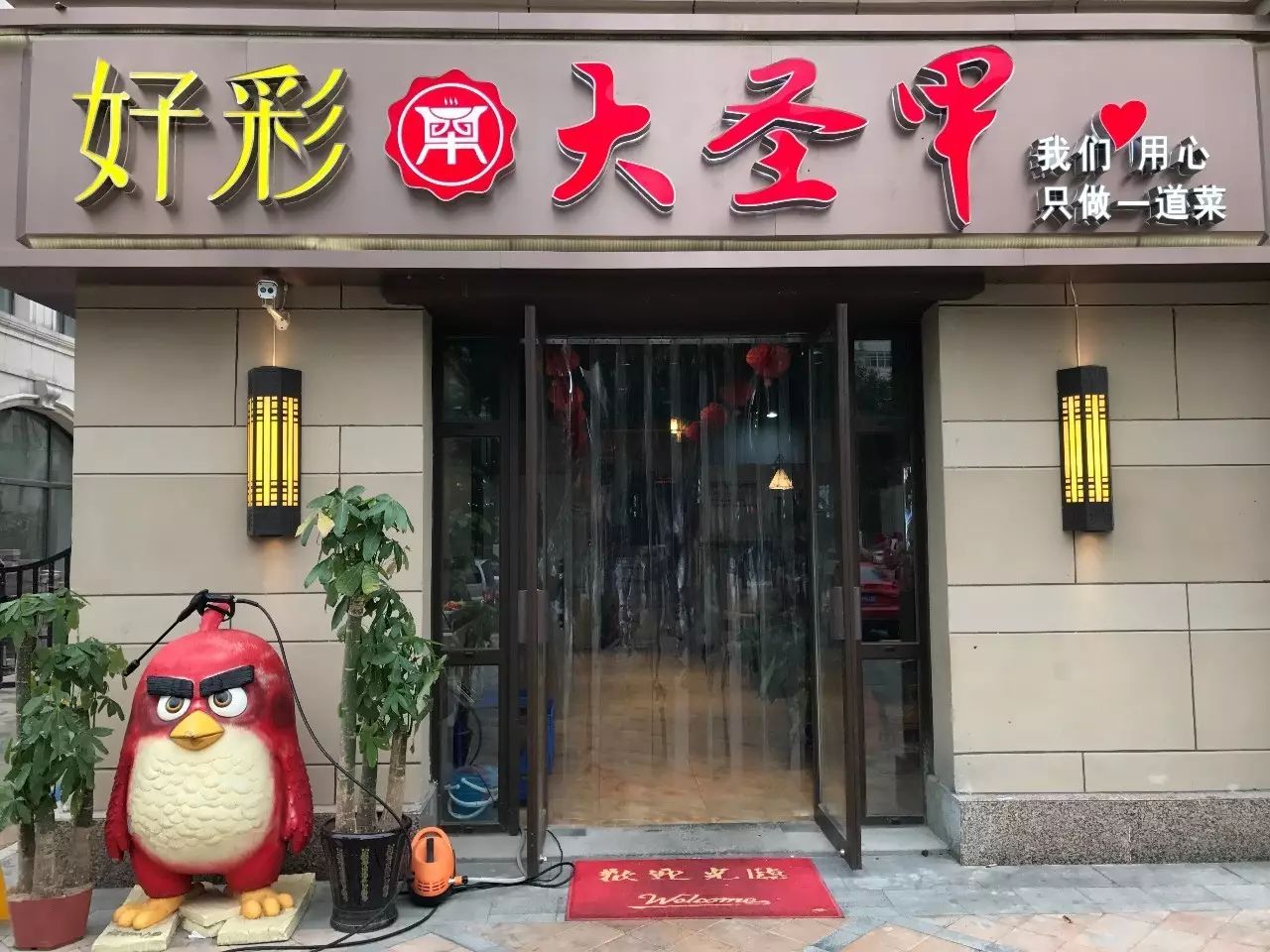 这就是 天津首家活甲鱼料理店 好彩大圣甲 凭此文章到店消费 餐厅招牌