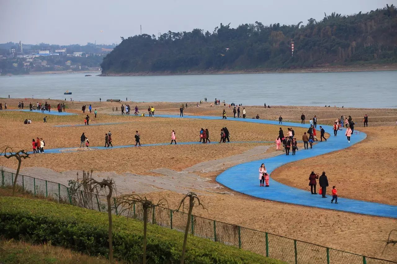 5,长江湿地公园