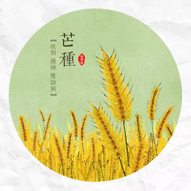 芒种这可是一年中最宝贵的衰老修复时机错过等一年哦