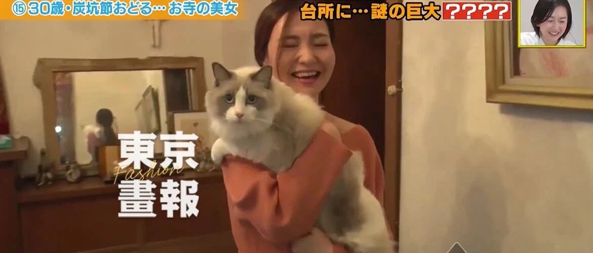 艺能界的模范夫妇daigo和北川景子 教你cp间如何相处 北川爱做中国菜给丈夫吃 东京画报 微信公众号文章阅读 Wemp