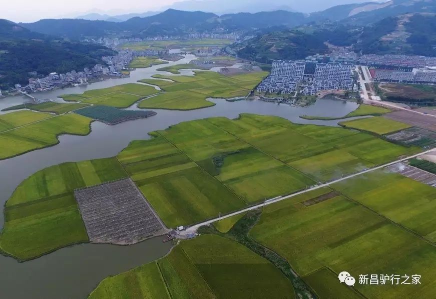 温岭市坞根镇