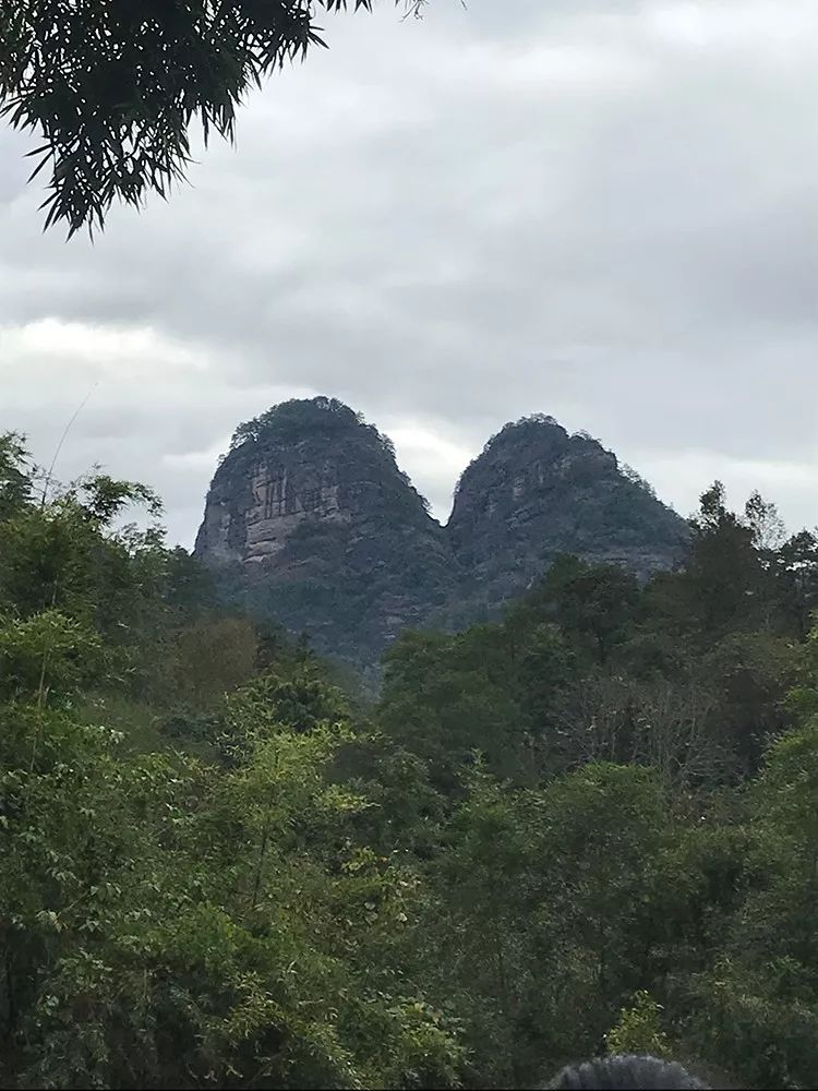 武夷山,我来了 |中道国际景观