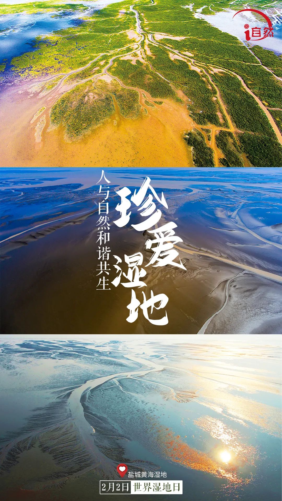 世界湿地日领略湿地之美