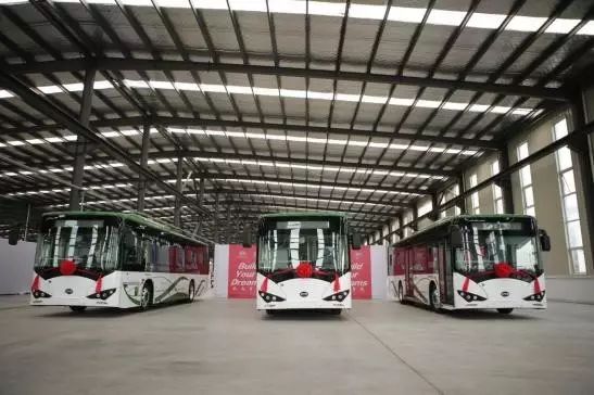 绿色公交驶入“塞上江南”，银川携手比亚迪打造新型交通示范城市 