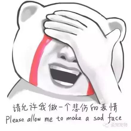 姚伟涛卢本娟直播_姚伟涛卢本娟_卢本娟和姚伟涛