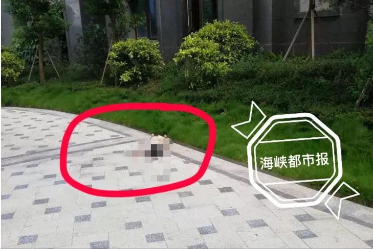 突发| 福建5岁男孩爬窗户,不慎十楼摔下身亡!又是因为