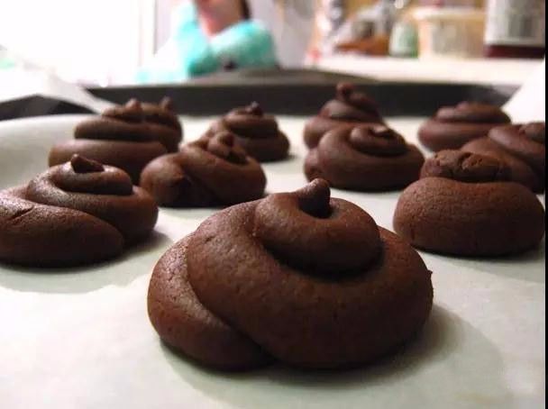 粪便饼干   crap cookies