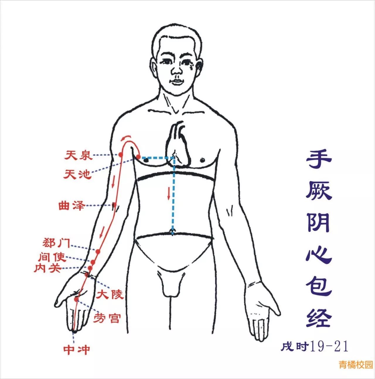 【针灸】肾经,心包经,三焦经经经络循行图!收图!