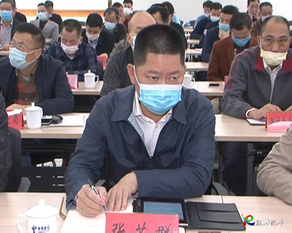 县委常委,常务副县长张若群,县直有关单位和各镇分管领导等在县分会场