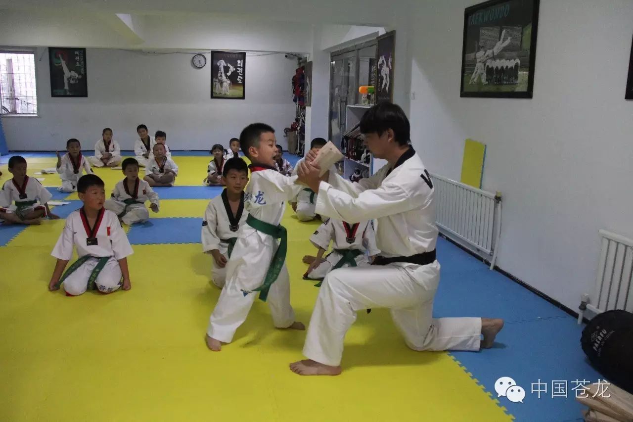 苍龙跆拳道对男孩子有什么好处