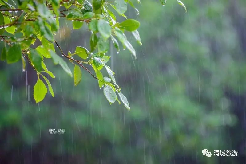 好雨知时节,当春乃发生.