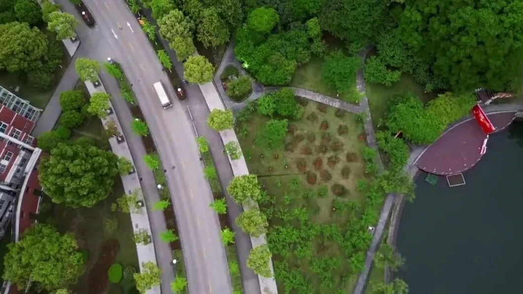 通道已开启，快来为杭电作品点赞！-1