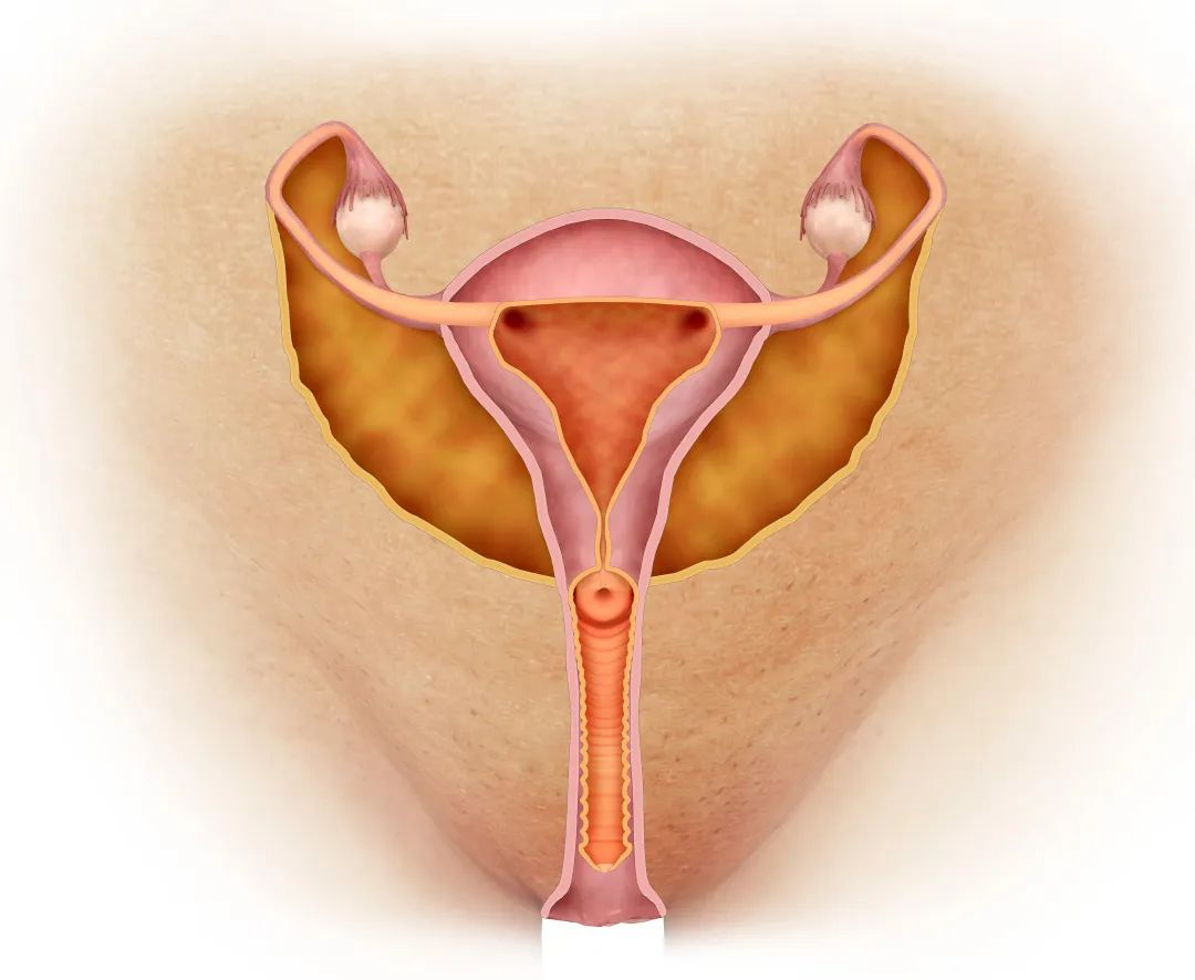 宫颈癌的3个早期信号，女性朋友们请小心!