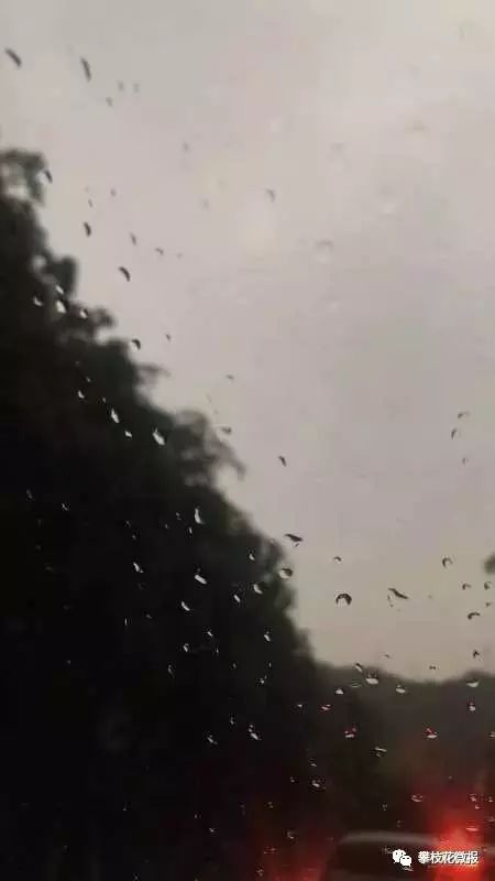 呵呵,谁知道…… 老天爷说,祖国大地不分你我, 于是攀枝花下雨了