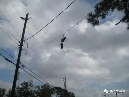 综述:FBI接手调查在美失联女生 在美这些标志危险