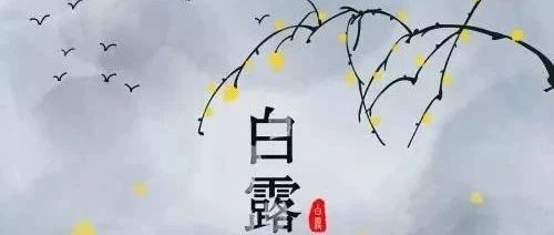 经典祝福老歌|范晓萱 《小叮当》童年记忆