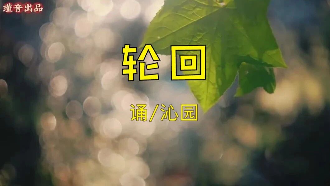 视听 || 轮回（一个真实的故事）-1