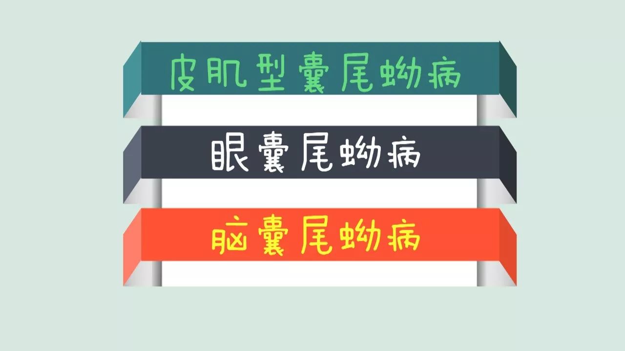 感染后根据寄生部位不同可以分为 脑囊尾蚴病 眼囊尾蚴病 皮下及