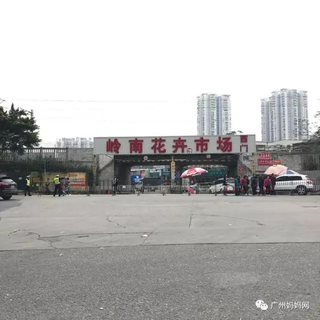 就可以看到岭南花卉市场的大门啦