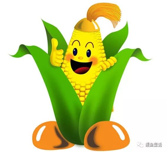 big corn and corn