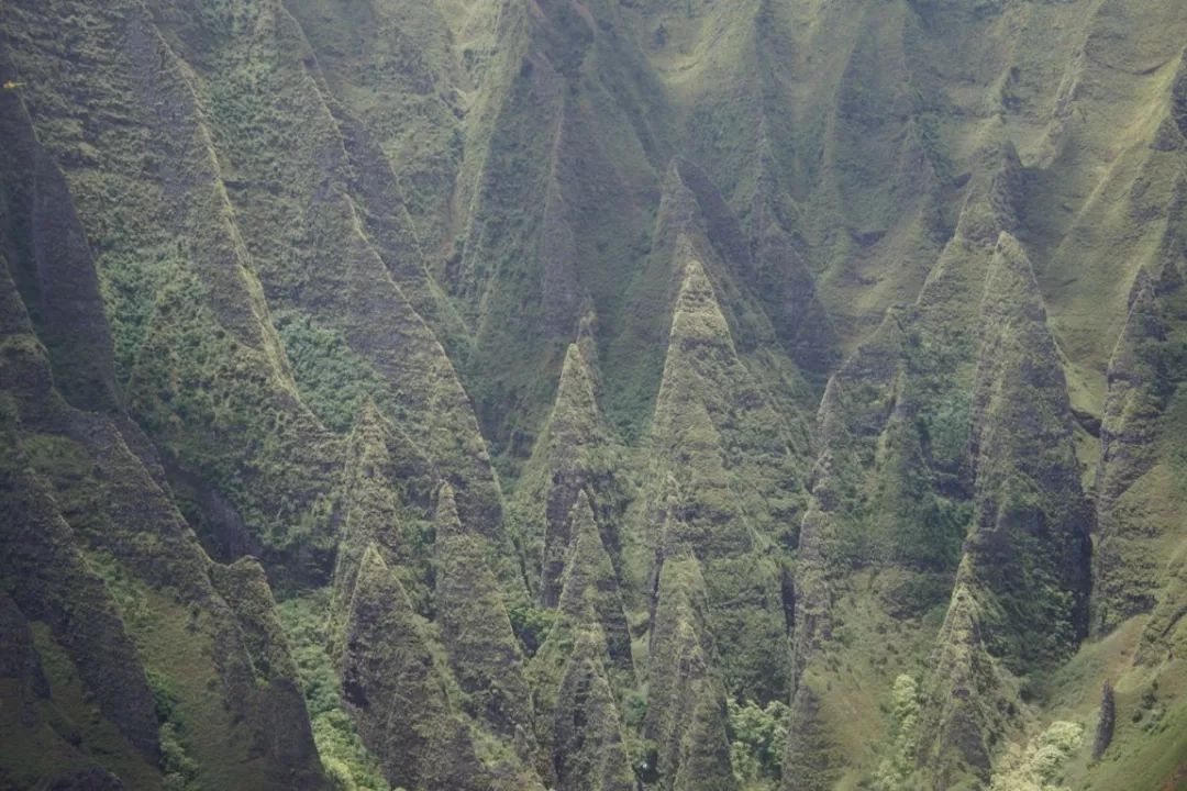 出游别拼命! 华人最爱旅游圣地 圣诞节突发坠机 两家人丧生