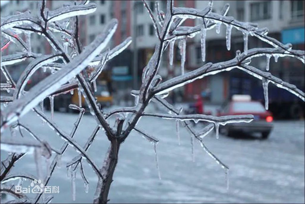 警报！雨雪同时侵袭大温36小时！20cm降雪+冻雨 出门一定要小心