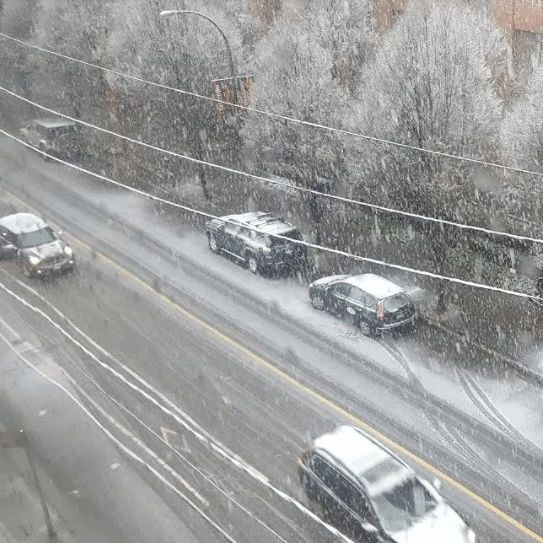 警报！雨雪同时侵袭大温36小时！20cm降雪+冻雨 出门一定要小心