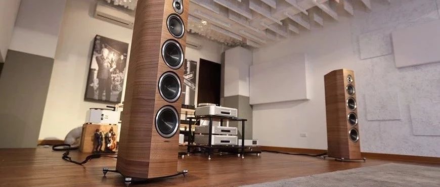 【评析】意大利世霸Sonus faber SONETTO VIII落地箱:最美的代表