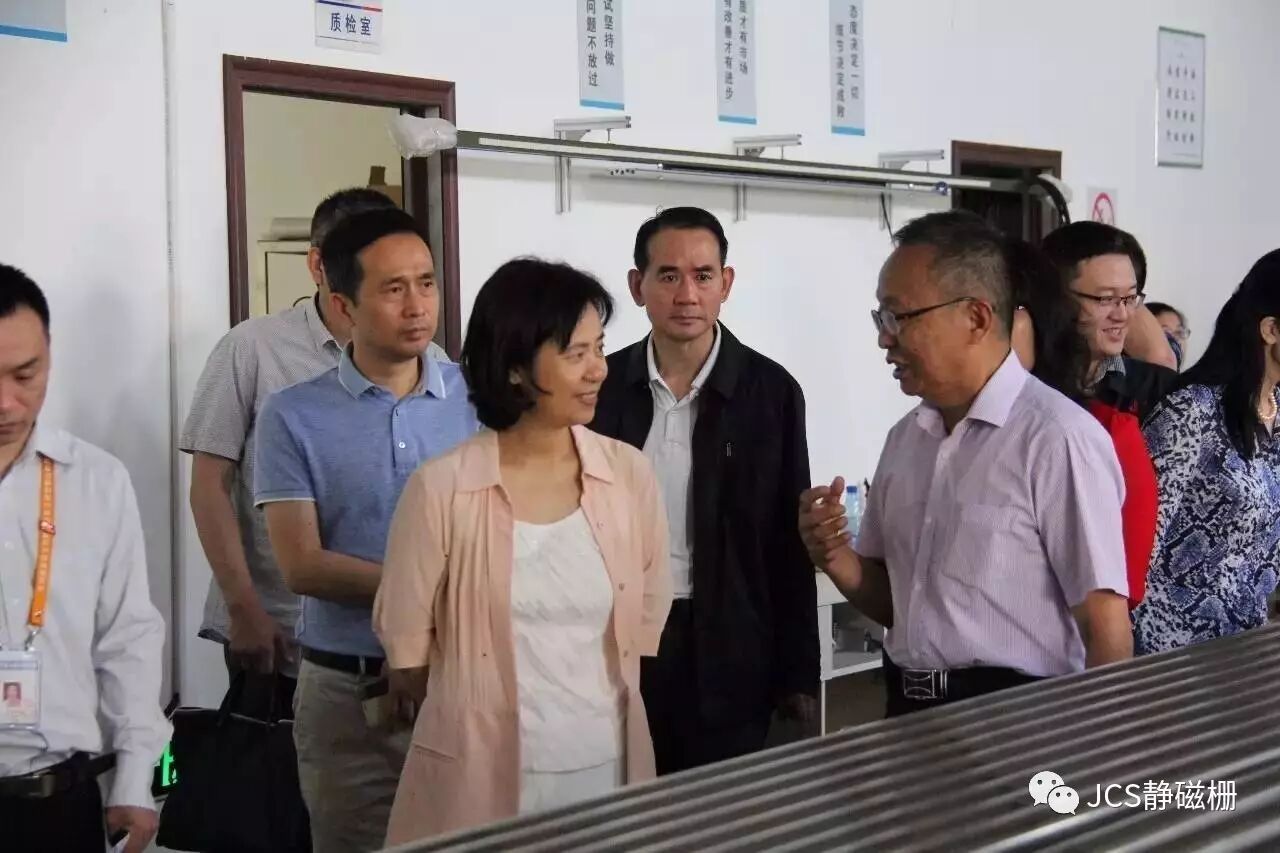 武汉市副市长徐洪兰参观我公司