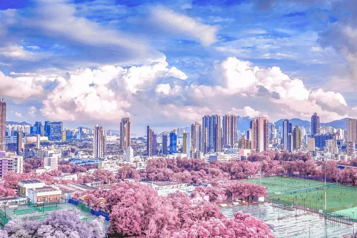 新海诚高清图片图片 六图吧www 6tuba Com