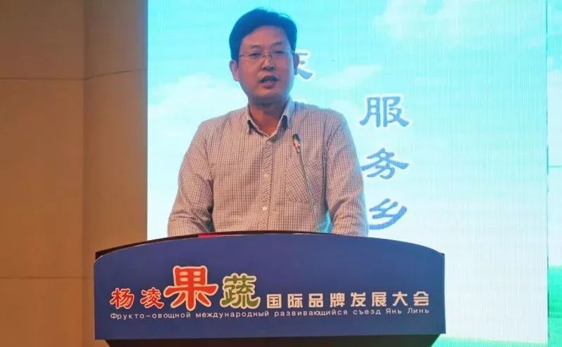 杨凌示范区党工委宣传部部长张小明发布《杨凌果蔬品牌宣传口号与形象