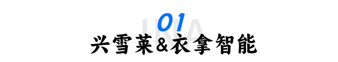 旅游宣传清新大字公众号文章标题 (18).jpg