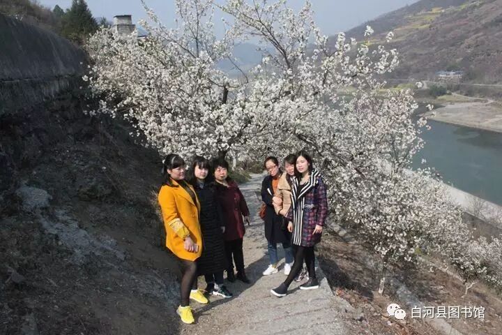 20170415143953_eewydecpa3.jpg?v=1765881536803