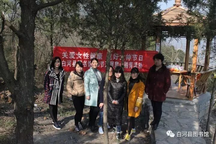 20170415143953_dfux576xrx.jpg?v=1765881536803