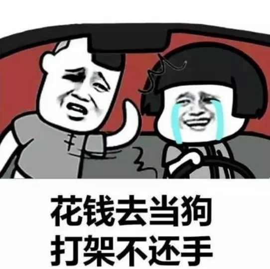 " ▼ 教练:"红灯不走,绿灯也不走