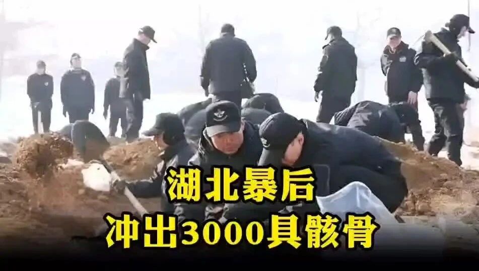 收录于合集⭐湖北暴雨冲出3000具骸骨，逝者几乎只有20岁左右，真相揭晓后，在场人员瞬间泪崩