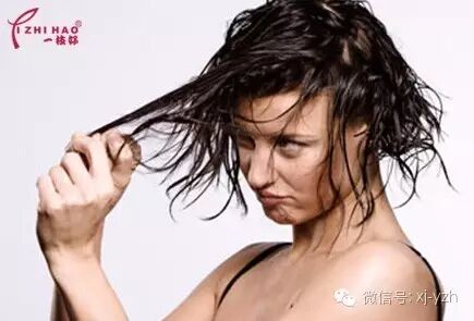 头发出油简成灾难，到底应该怎么办？